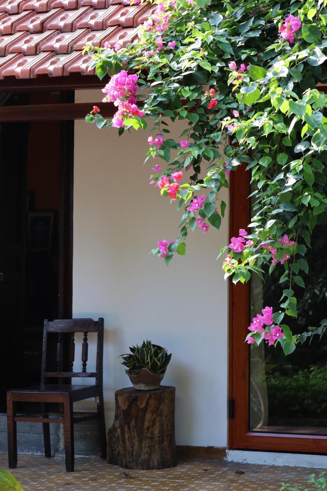 Thom'S House Hotel Ninh Binh Bagian luar foto